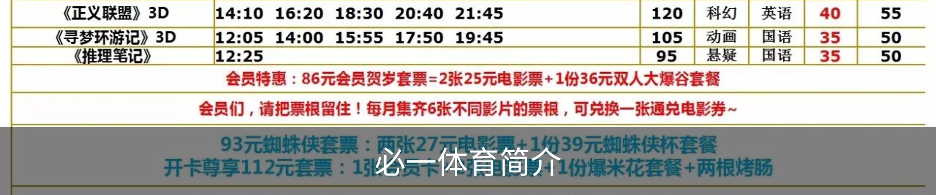 必一体育简介
